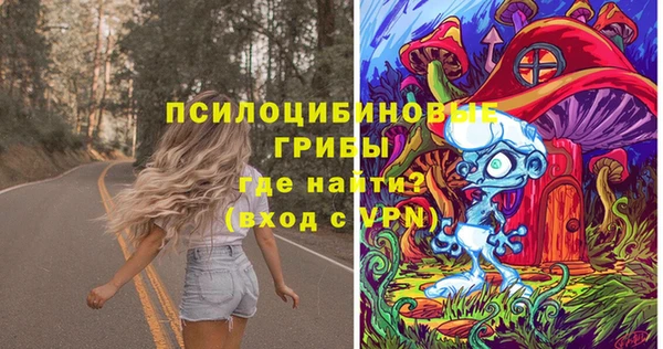 ГАЛЛЮЦИНОГЕННЫЕ ГРИБЫ Михайловка