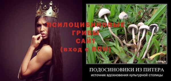 ГАЛЛЮЦИНОГЕННЫЕ ГРИБЫ Михайловка